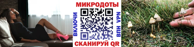 купить  цена  Туринск  blacksprut как зайти  Псилоцибиновые грибы мицелий 